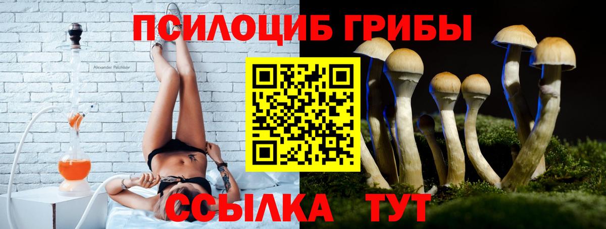 Псилоцибиновые грибы Cubensis Вятские Поляны